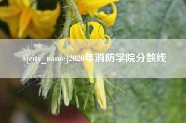 曲靖2020年消防学院分数线