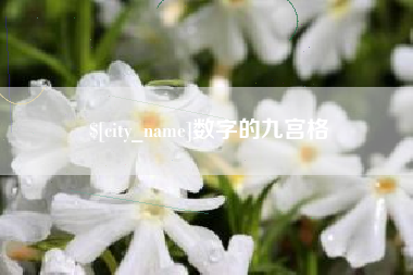 曲靖数字的九宫格