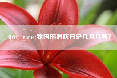 曲靖我国的消防日是几月几号？