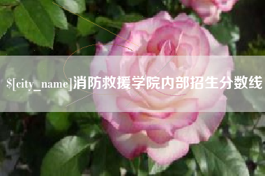 曲靖消防救援学院内部招生分数线