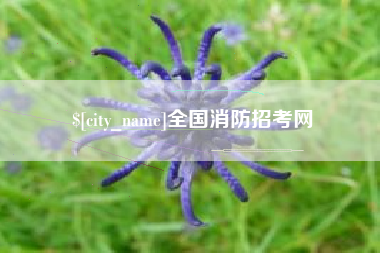 曲靖全国消防招考网