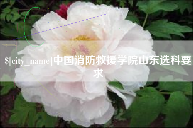 曲靖中国消防救援学院山东选科要求