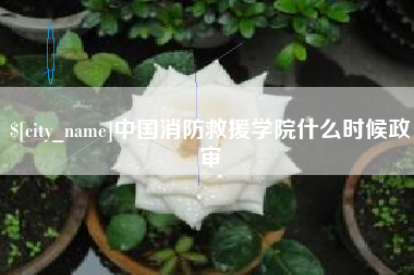 曲靖中国消防救援学院什么时候政审