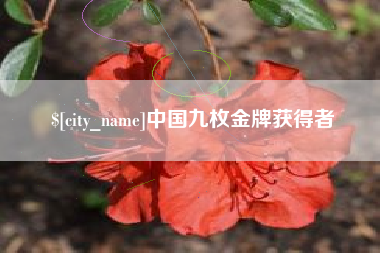 曲靖中国九枚金牌获得者