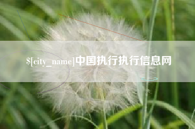 曲靖中国执行执行信息网