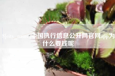 曲靖中国执行信息公开网官网app为什么要钱呢