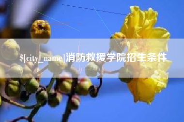 曲靖消防救援学院招生条件