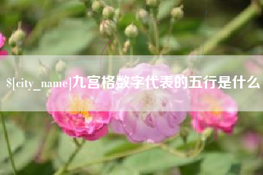 曲靖九宫格数字代表的五行是什么