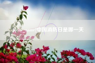 曲靖中国消防日是哪一天