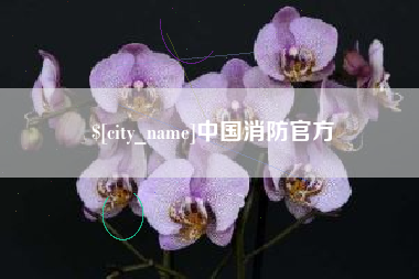 曲靖中国消防官方