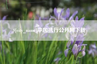 曲靖中国执行公开网下载