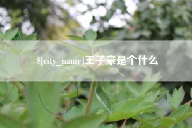曲靖王子豪是个什么