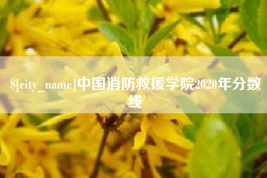 曲靖中国消防救援学院2020年分数线