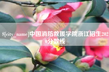 曲靖中国消防救援学院浙江招生2020分数线