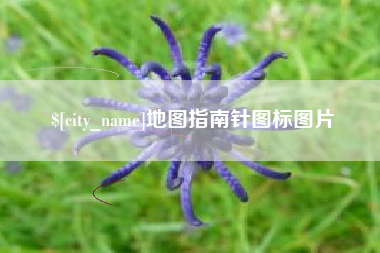 曲靖地图指南针图标图片