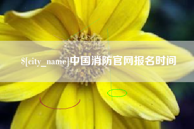 曲靖中国消防官网报名时间