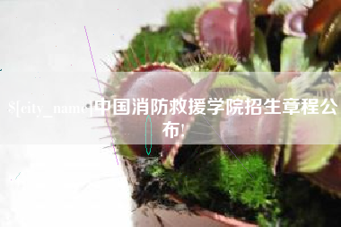 曲靖中国消防救援学院招生章程公布!