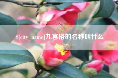 曲靖九宫格的名称叫什么