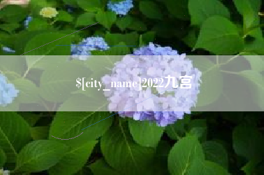 曲靖2022九宫
