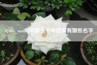 曲靖中国五千米冠军有哪些名字