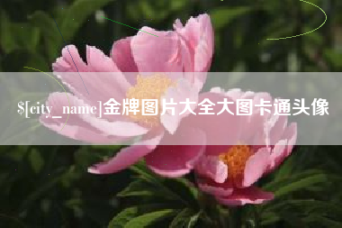 曲靖金牌图片大全大图卡通头像