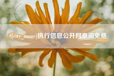 曲靖执行信息公开网查询免费