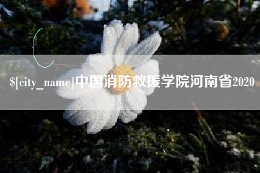 曲靖中国消防救援学院河南省2020